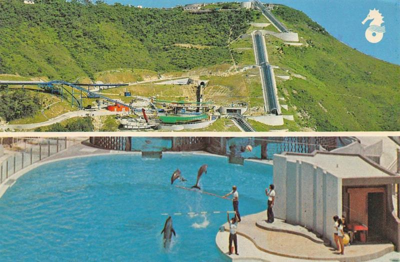 Aberdeen Hong Kong The Ocean Park Postcard