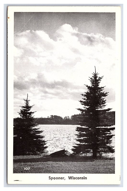 Spooner Wisconsin Lake Scenic View Postcard #1