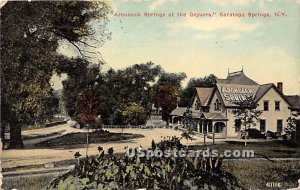 Arondack Springs at the Geysers - Saratoga Springs, New York NY  