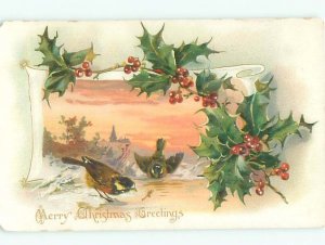 Divided-Back BIRDS SCENE Pretty Postcard AA8777
