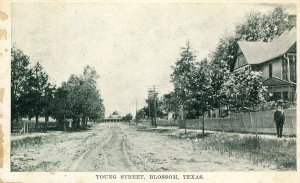 Postcard  Early View of Young Street in Blossom, TX.    S6