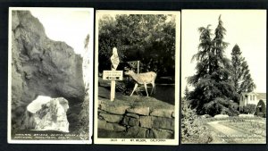 #30 RPPC 3pcs. Deer at Mt. Wilson, Death Valleys Autos, Luther Burbank Buried