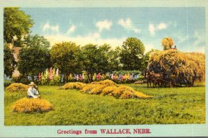 Nebraska Greetings From Wallace