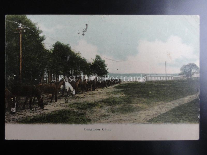 Military Hampshire LONGMOOR CAMP showing Line of Horses Grazing c1904 Postcard