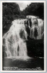 c1940s Tellico Plains, TN RPPC Bald River Falls Cherokee Forrest Park Photo A200