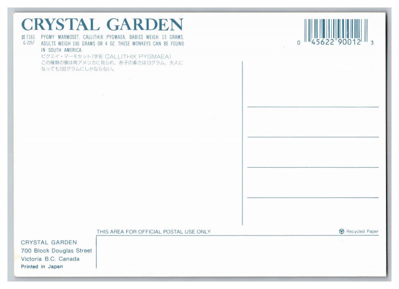 Postcard Canada Crystal Garden Victoria B. C. Pygmy Marmoset Continental Card 