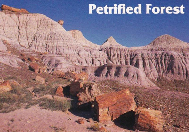 Arizona Petrified Forest National Park Blue Mesa Area