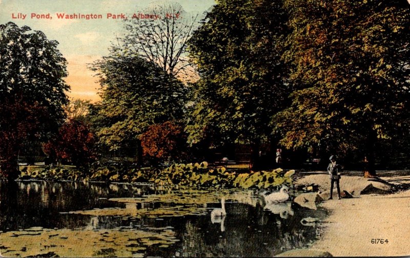 New York Albany Washington Park Lily Pond