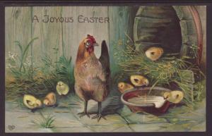A Joyous Easter Chicks Postcard