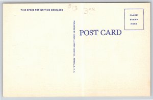 Columbia SC~Red & Blue Background~Large Letter Vintage Linen Postcard