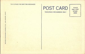 California Wild Flowers Springtime Linen Postcard