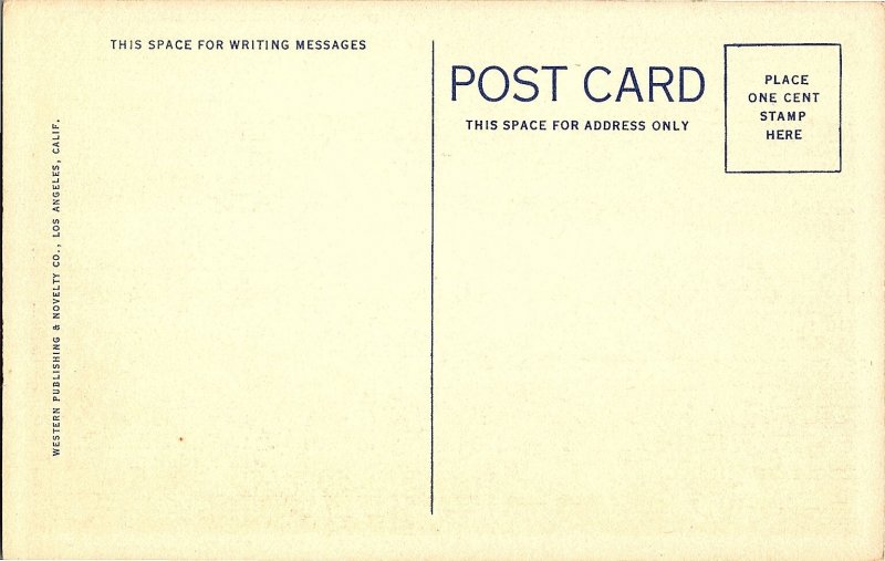 California Wild Flowers Springtime Linen Postcard