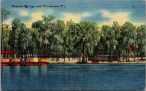 Florida Wakulla Springs Near Tallahassee