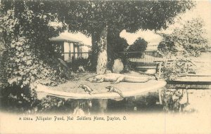 C-19105 Ohio Dayton Alligator Fond Nat Soldiers Home Rotograph Postcard