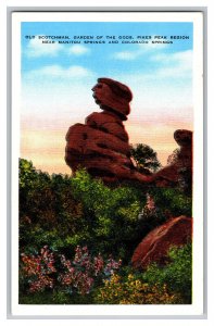 Postcard CO Old Scotchman Garden Of The Gods Colorado Vintage Standard View Card 