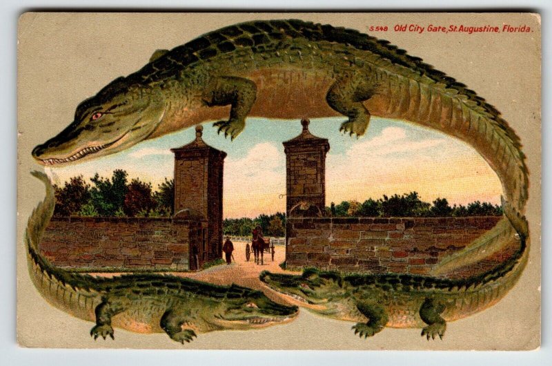 Alligator Border Florida Postcard St Augustine Old City Gate Three Gators 1912