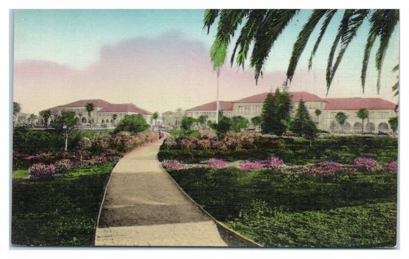 Stanford University, CA Hand-Colored Postcard *6V(2)5