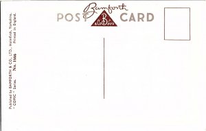 “Vintage Bamforth Comic Postcard No. 1740 – ‘Dust Eve and I’ll Do Adam’ – Risqué