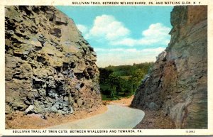 Pennsylvania Sullivan Trail Twin Cuts Between Wyalusing and Towanda Curteich