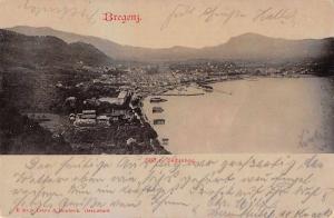 Bregenz Austria Birds Eye View Antique Postcard J66688