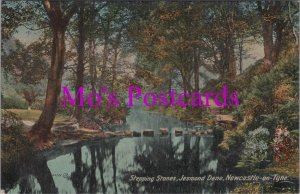 Northumberland Postcard - Newcastle On Tyne, Jesmond Dene Stepping Stones  HM413