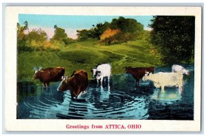 c1920's Greetings From Attica Cows Scene Ohio OH Unposted Vintage Postcard