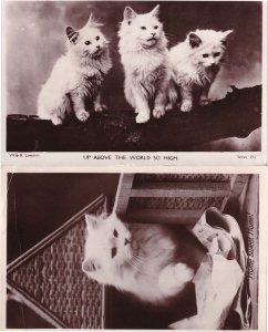Up Above The World So High White Cat 2x RPC Postcard s