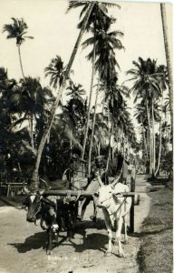 PC CPA SINGAPORE, SUBURB OF SINGAPORE, Vintage REAL PHOTO Postcard (b4447)