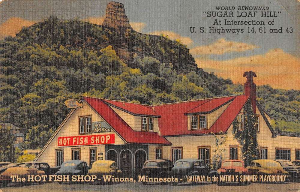 Winona Minnesota birds eye view The Hot Fish Shop linen antique pc