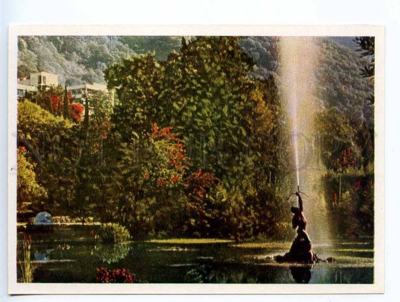 238995 Abkhazia Gagra park old postcard