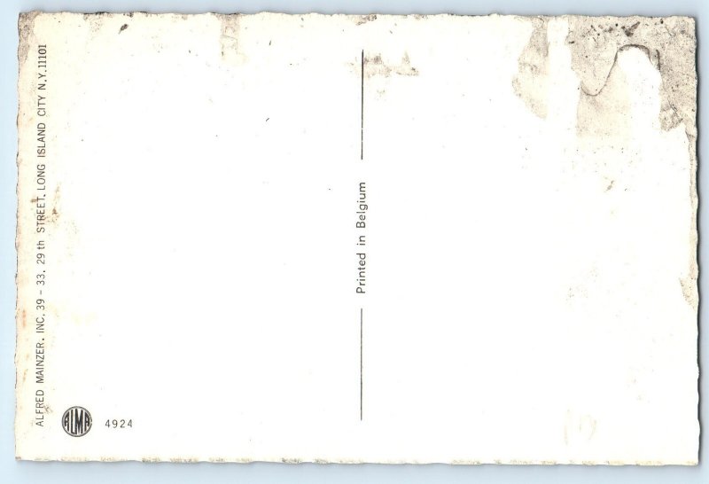 c1930's Alfred Mainzer Anthropomorphic Cat Kittens Preparing Food Postcard