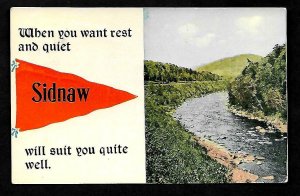 MP Sidnaw, Mich. PENNANT Picture River & Mountains, We suit you quite well