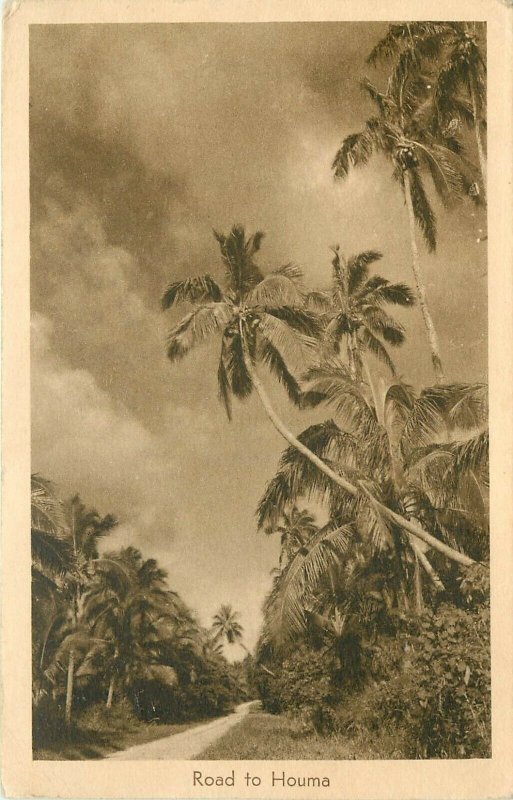 Lithograph Postcard; Palm Trees along Road to Houma, Tonga, posted 1950