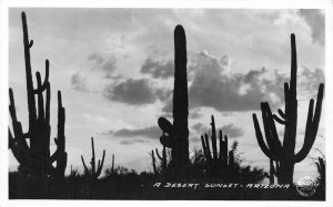 RPPC A DESERT SUNSET Arizona Cacti Scene Cactus c1940s Vintage Frashers Postcard