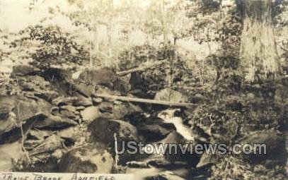 Real Photo - Trout Brook - Ashfield, Massachusetts MA  