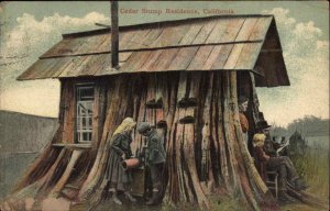 California CA Cedar Stump Residence 1900s-20s Postcard