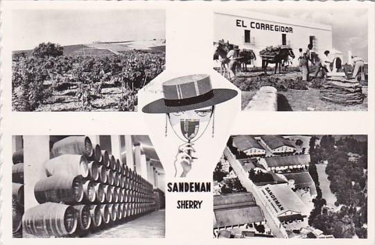 Spain Jerez Saandeman Vineyards and Bodegas Real Photo