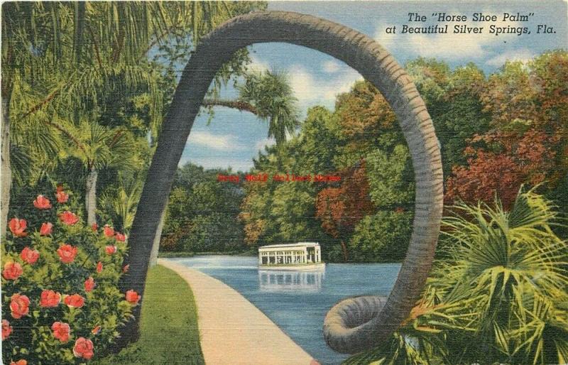 FL, Silver Springs, Florida, Horse Shoe Palm, River Boat, Curteich