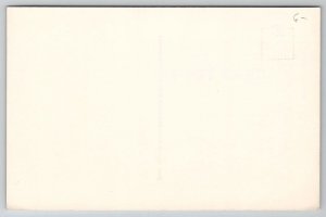 St Augustine FL Looking Down on the Moat Castillo De Dan Marcos Postcard D22