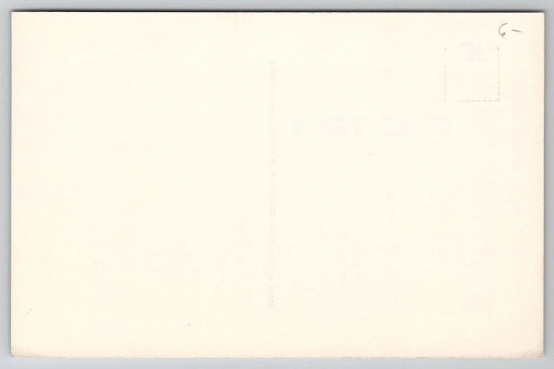 St Augustine FL Looking Down on the Moat Castillo De Dan Marcos Postcard D22