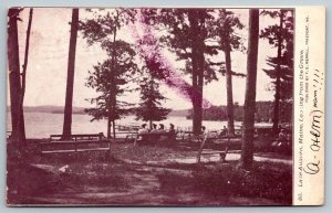 Lake Auburn  Maine    Postcard  1905