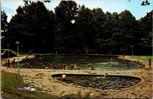 Swimming Pool, Franklin D Roosevelt Park Pine Mt GA Vintage Postcard O76