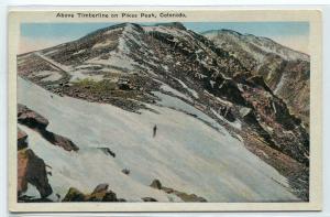 Pikes Peak Above The Timberline Colorado postcard