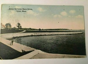 Postcard  Antique View of Lynn Shore Drive in Lynn, MA.  U2
