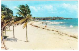 Barbados Sam Lord's Beach 1950s-1960s Postcard