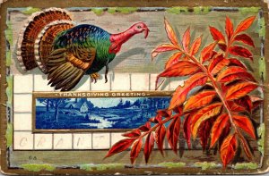 Thanksgiving Greetings With Turkey 1911