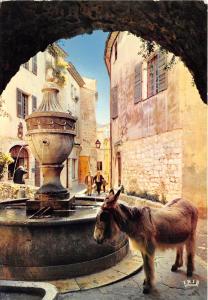 BR23055 Saint Paul de Vence ane donkey france