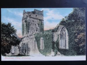 Ireland Kerry KILLARNEY MUCKROSS ABBEY c1903 by Valentine