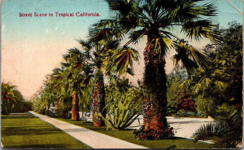 Vtg 1915 Street Scene Palm Trees in Tropical California CA Postcard