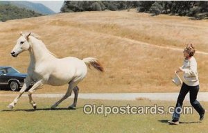 Nancy Reagan White Horse Unused 